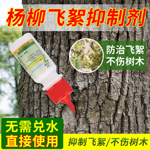 赤霉素杨柳飞絮净飘絮一插灵