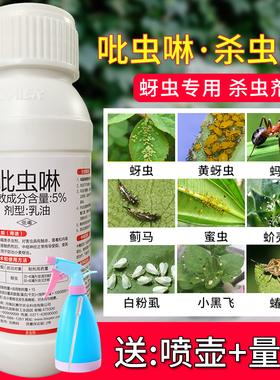 吡虫啉杀虫剂多肉蚧壳虫小白药花卉月季果树白粉虱蓟马蚜虫专用药