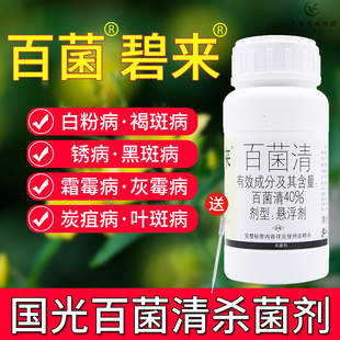 国光40%百菌清植物通用广谱杀菌剂锈病霜霉病炭疽病花卉花药200g