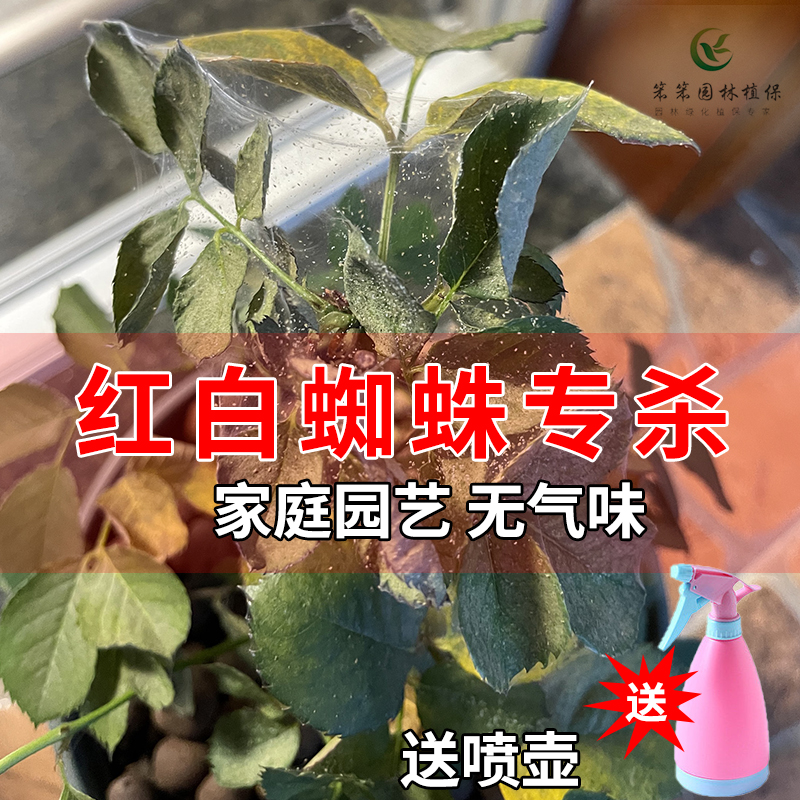 红蜘蛛专用杀虫剂白蜘蛛螨虫杀螨剂月季绣球草莓花卉果蔬通用送壶