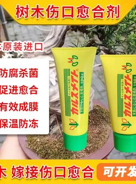 树皮伤口愈合剂盆景松柏月季修剪植物伤口愈合膏封口涂抹剂修复剂