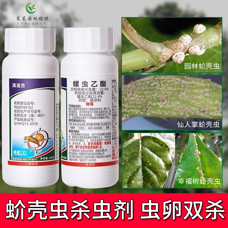 蚧壳虫高效杀虫剂发财树果树通用