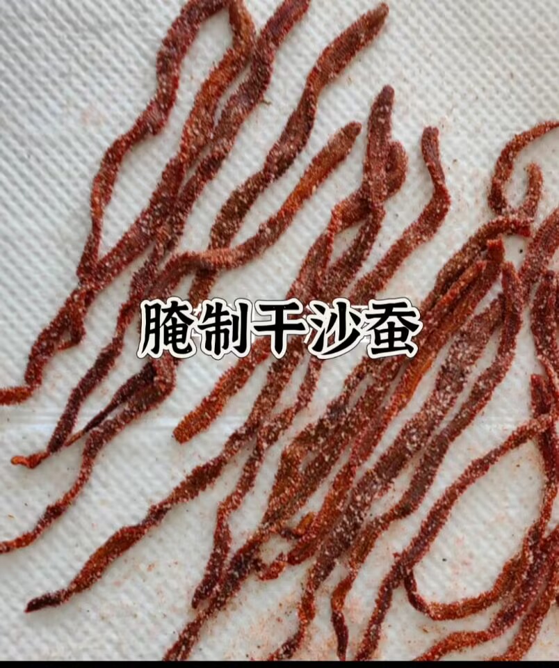 腌渍沙蚕海蛐蟮海鱼钓饵腌制沙虫海钓海蚯蚓海蜈蚣便携易储万能饵