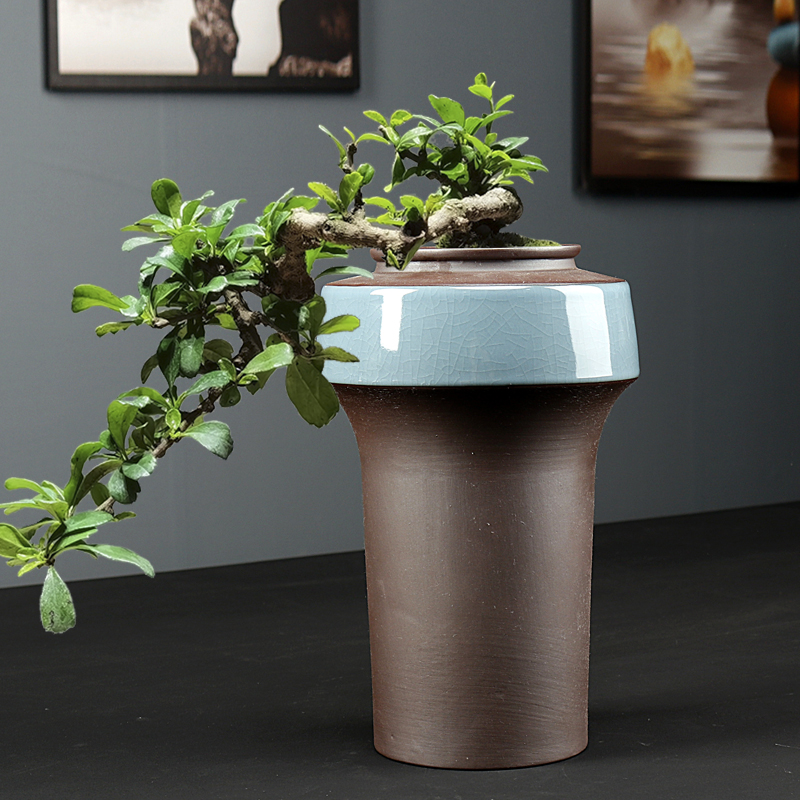 大号肉肉老桩专用花盆大口径多肉植物悬崖桩兰花粗陶盆器高复古罐