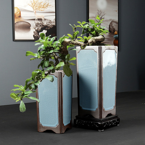 兰花专用紫砂花盆陶瓷家用室内桌面古典小榕树造景盆紫檀清香木盆