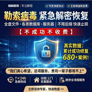 勒索病毒解密服务数据库恢复数据解密病毒查杀