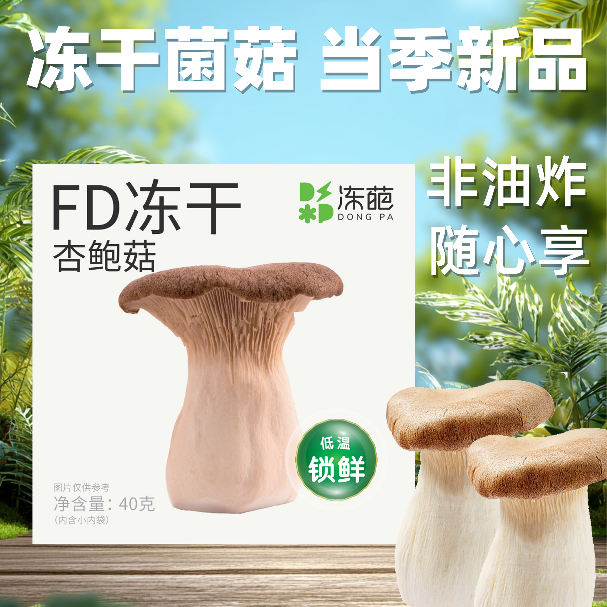 40g“冻葩”FD冻干杏鲍菇