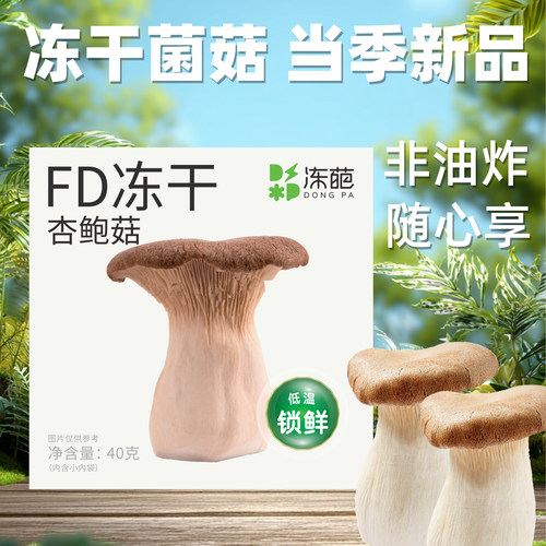 闽龙达FD冻干杏鲍菇40g