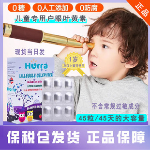 挪威hurra小孩子学生儿童蓝莓叶黄素越橘保护 眼小布丁防蓝光45粒