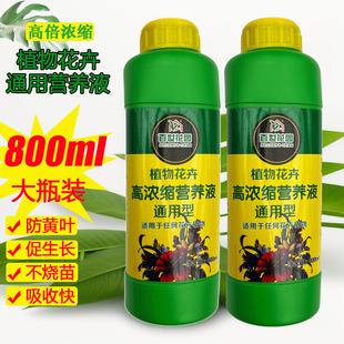 营养液绿萝高度植物通用型浓缩有机发酵营养液肥料专用家用养花