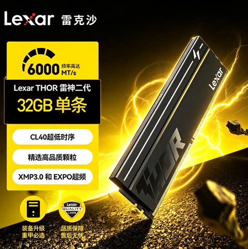 雷克沙DDR532GB/64GB台式内存条