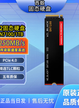 WD西数SN7100数据 m2固态硬盘1t  1TB 电脑笔记本ssd PCle4x4