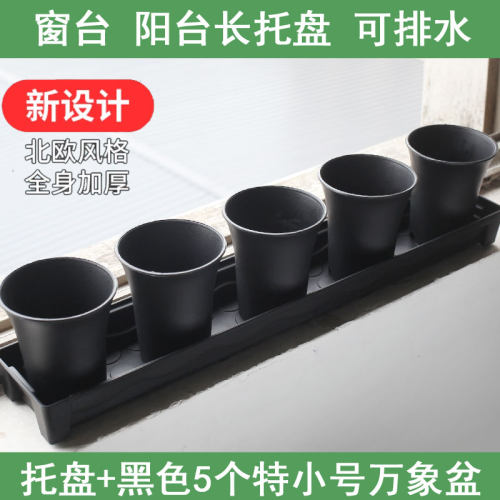 塑料材质简约时尚新品促销