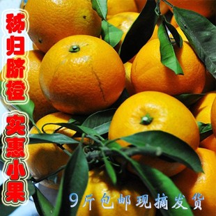 新鲜水果秭归脐橙纽荷尔长红橙子甜橙中华红橙现摘发