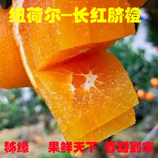 新鲜水果秭归脐橙纽荷尔橙子(长红)甜橙 现摘发货包邮