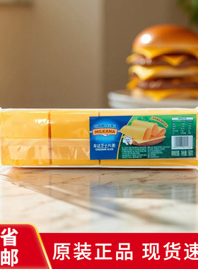 百瑞酪百吉福车达芝士片960g黄片奶酪干酪片80片汉堡三明治家商用