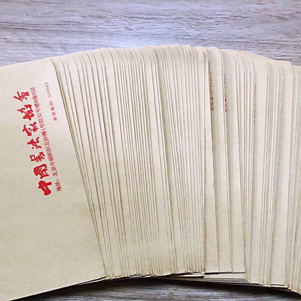 中国书法家协会信封|/标准9号 美术家协会大信封书法字画袋子书协