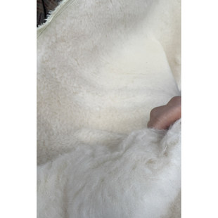 宽145CM 布 意大利进口 羊毛交织白色短毛毛面料米色外套服装 JIS
