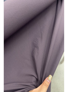 JIS PA混纺 功能性FAN水葡萄灰紫面料宽140CM意大利直邮J70148