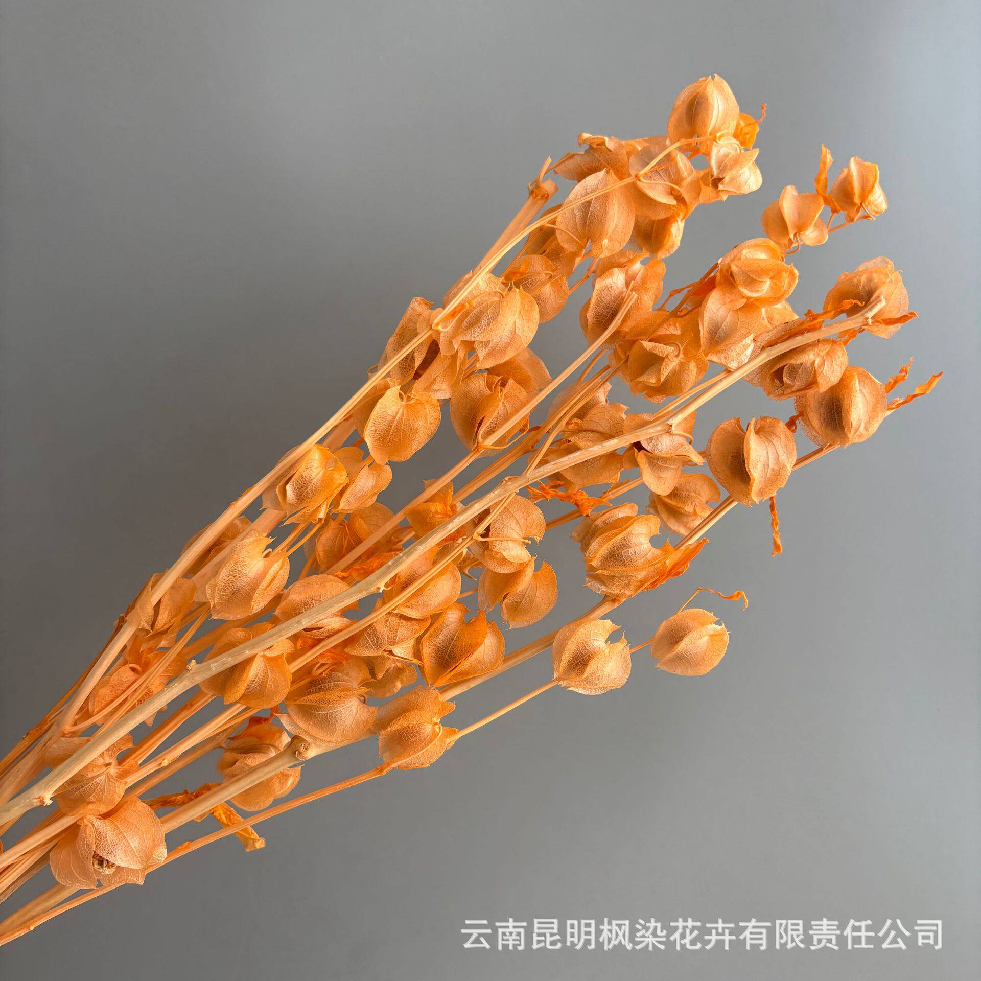永生花diy材料包灯笼果保鲜玫瑰风铃果情人节玻璃罩花盒花材