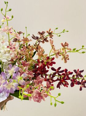 仿真万代兰 蝴蝶兰 洋兰家居客厅电视柜摆件插花 样板房装饰假花