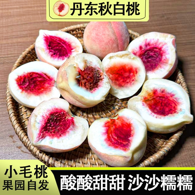 丹东河口秋白桃黑沟大毛桃离核银白桃新鲜桃子酸甜5斤脆口10包邮