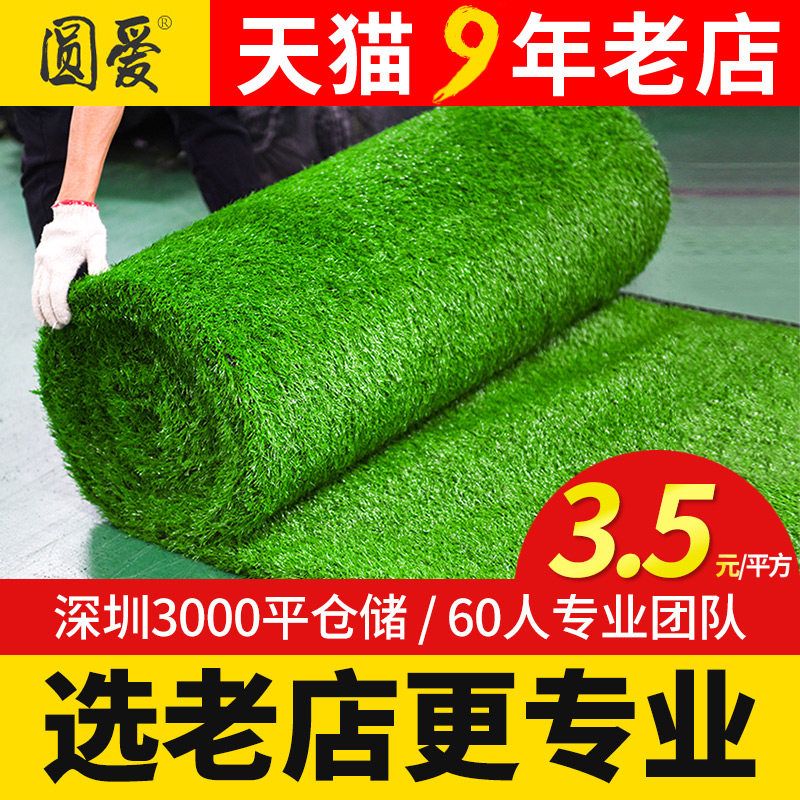 仿真草坪地毯人造绿室内水果垫阳台假草皮绿植围挡墙塑料人工装饰