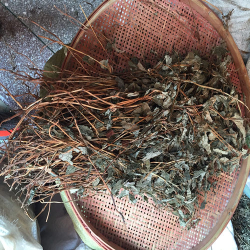 农家自晒野生干货新鲜清热鱼腥草