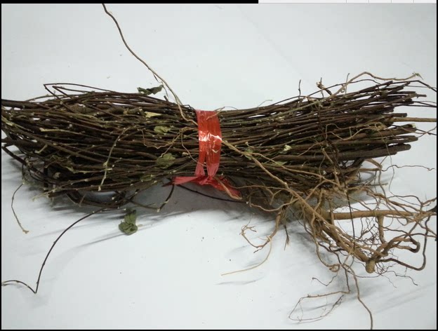 客家煲汤料 野生白花地棉根 地绵茎 了哥王 地棉皮 山豆了 九信草