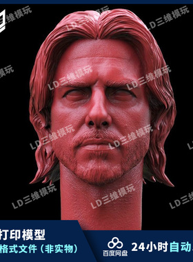 3d打印头雕文件最后的武士汤姆克鲁斯头雕图纸兵人素材STL模型