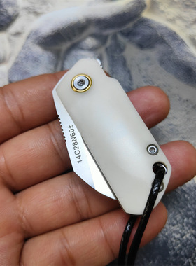 收藏把玩EDC 水果刀牛骨 口袋钥匙刀折叠刀迷你锋利14C28N 快递刀