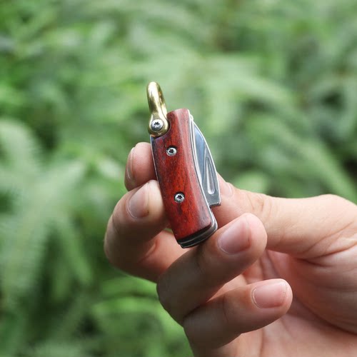 小刀迷你随身水果刀折叠高颜值钥匙扣刀锋利拆快递多功能D2钢可爱