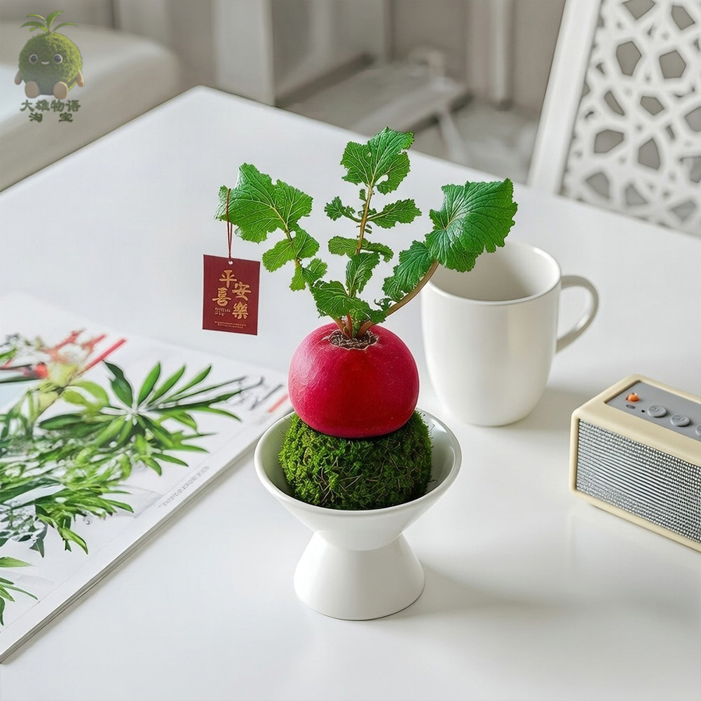 好彩头红萝卜盆栽发财招财植物办公室桌面好养喜庆转运苔藓球绿植