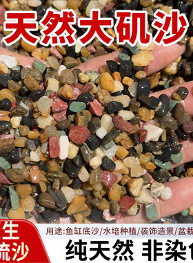 天然大矶沙原生溪流沙底砂溪流石鱼缸造景水草底沙鱼缸专用溪流沙