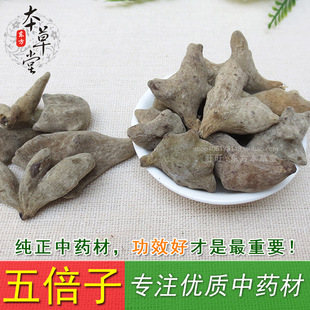 中药材 野生五倍子炭角倍肚倍百药煎打五倍子粉有地肤蛇床子50克