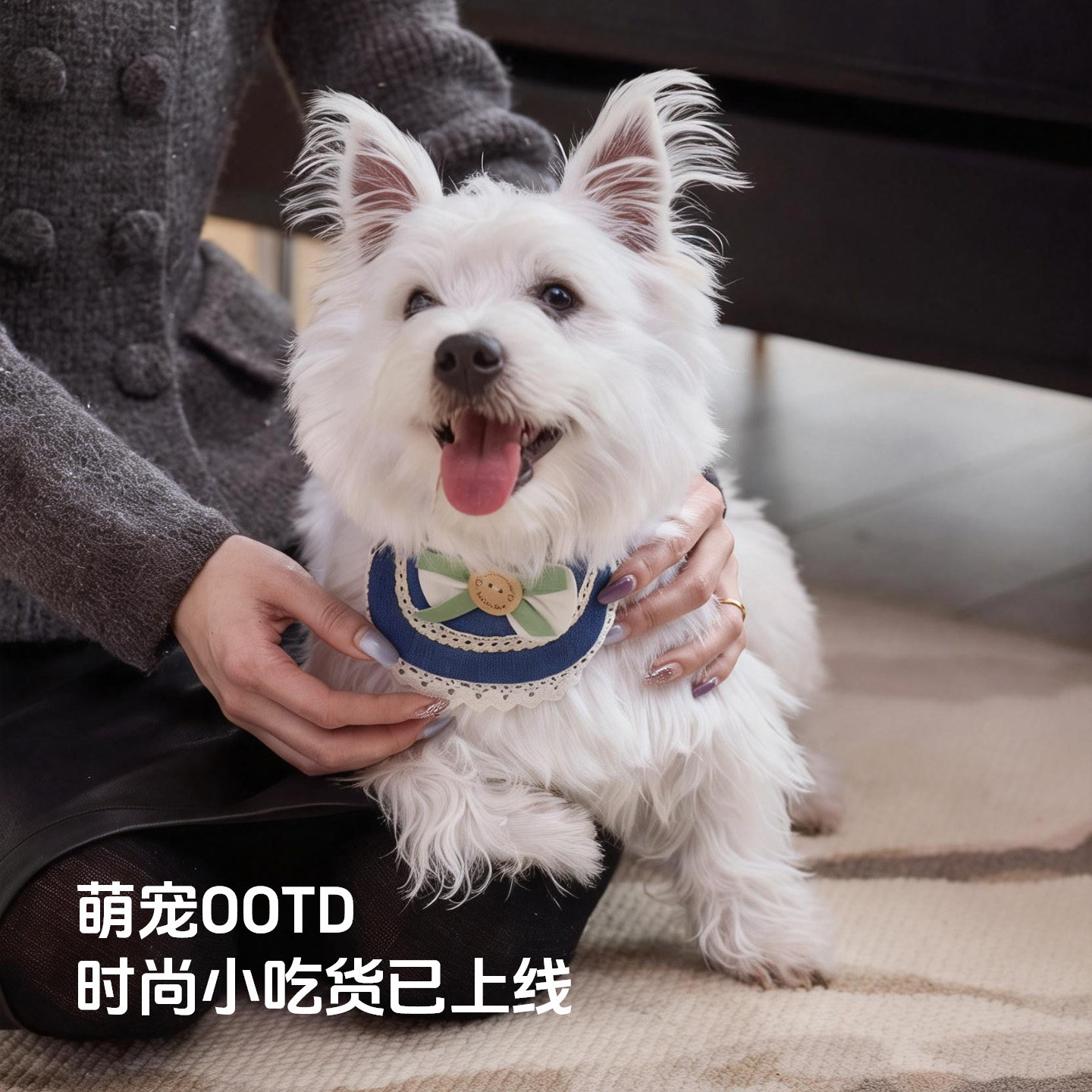 狗狗口水巾拉布拉多金毛装饰围脖猫咪吃饭围嘴宠物户外摄影小领带,宠物/宠物食品及用品,围巾/口水巾,淘宝优惠券,粉丝福利购,淘宝优惠卷