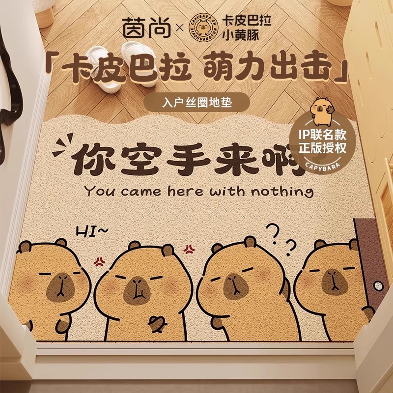 【卡皮巴拉联名】入户门丝圈地垫大门口地毯门外脚垫进门玄关地毯