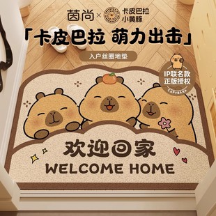 入户门丝圈地垫加厚耐磨门口防滑地毯异形脚垫子 卡皮巴拉联名