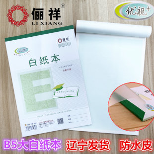 丽祥B5大演算草白纸本护眼加厚淡绿色中小学生带皮无格空白作业本