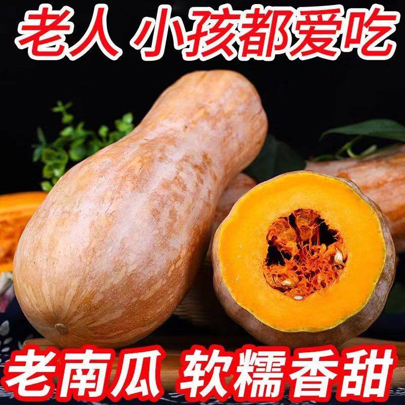 云南老南瓜现摘包邮当季素瓤