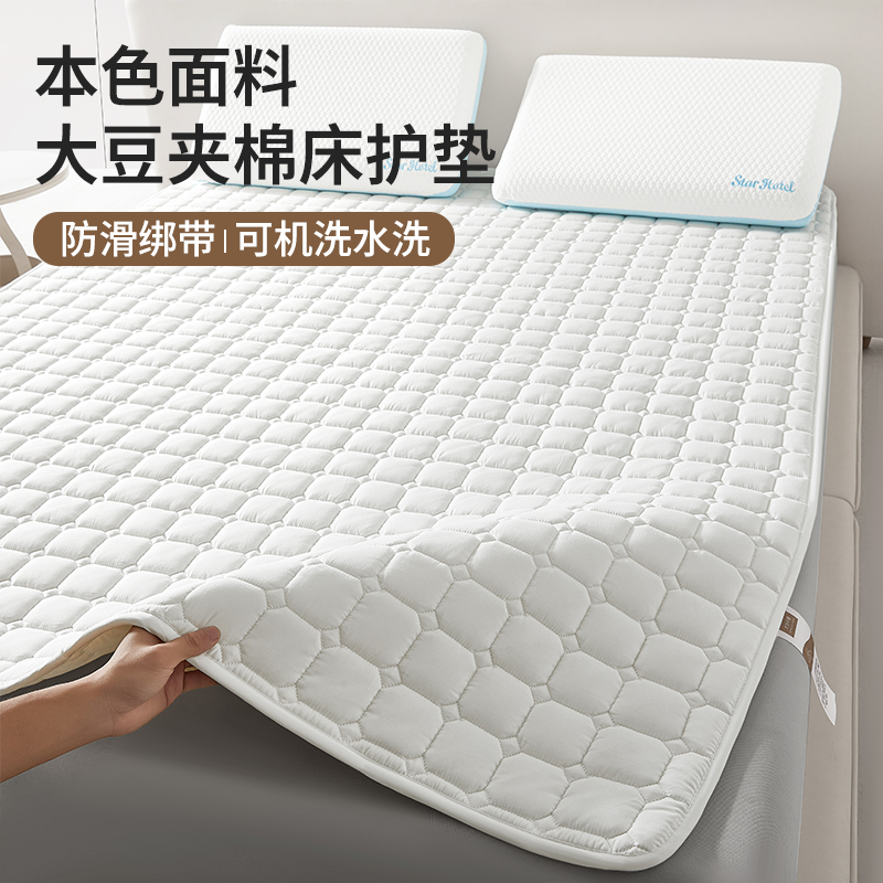 可水洗软垫薄垫夏天宿舍家用