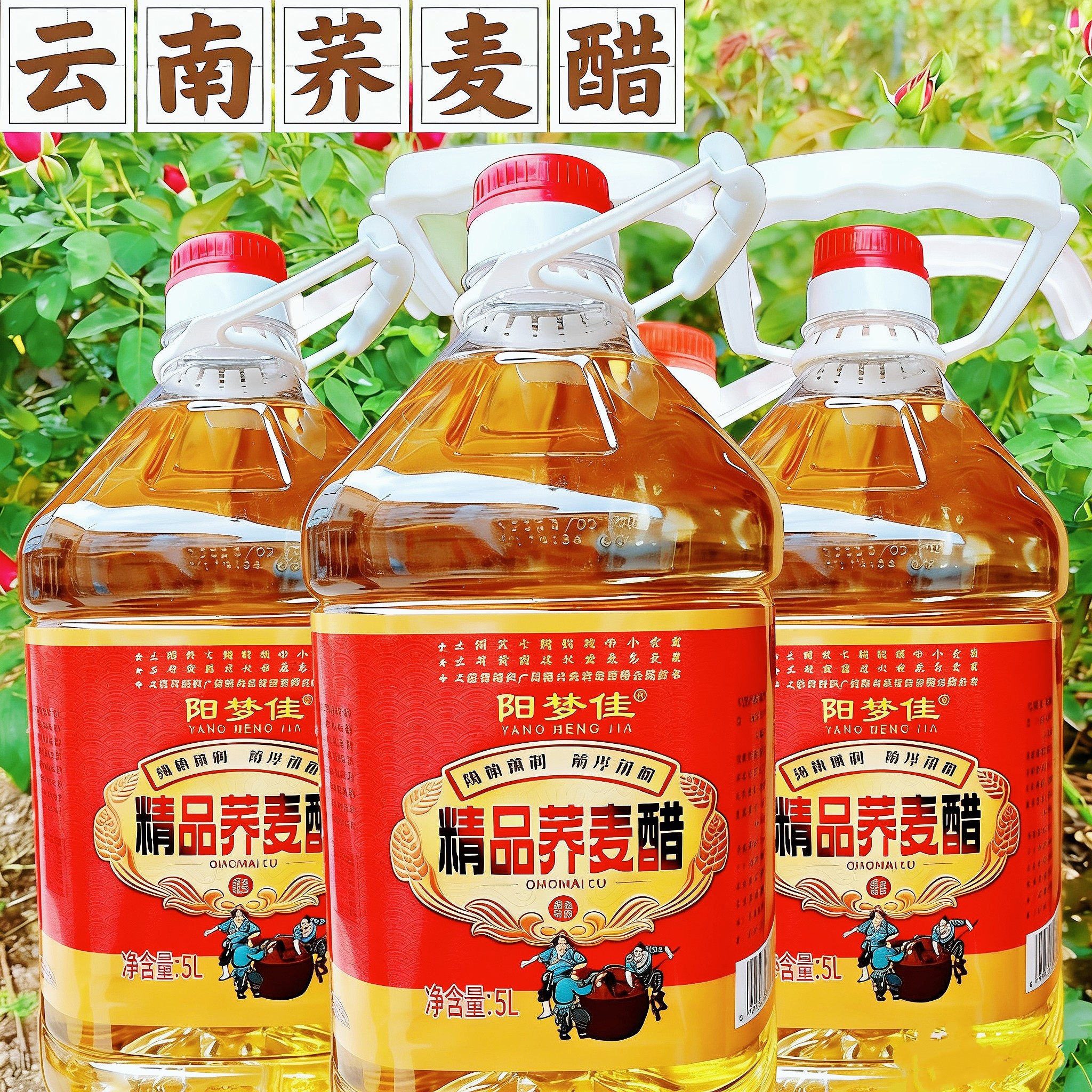 云南曲靖荞麦醋醋泡食用玫瑰花醋各种水果醋荞麦醋好喝荞麦醋荞醋