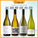 白熊喝喝众意新西兰马尔堡派迪智利长相思干白葡萄酒
