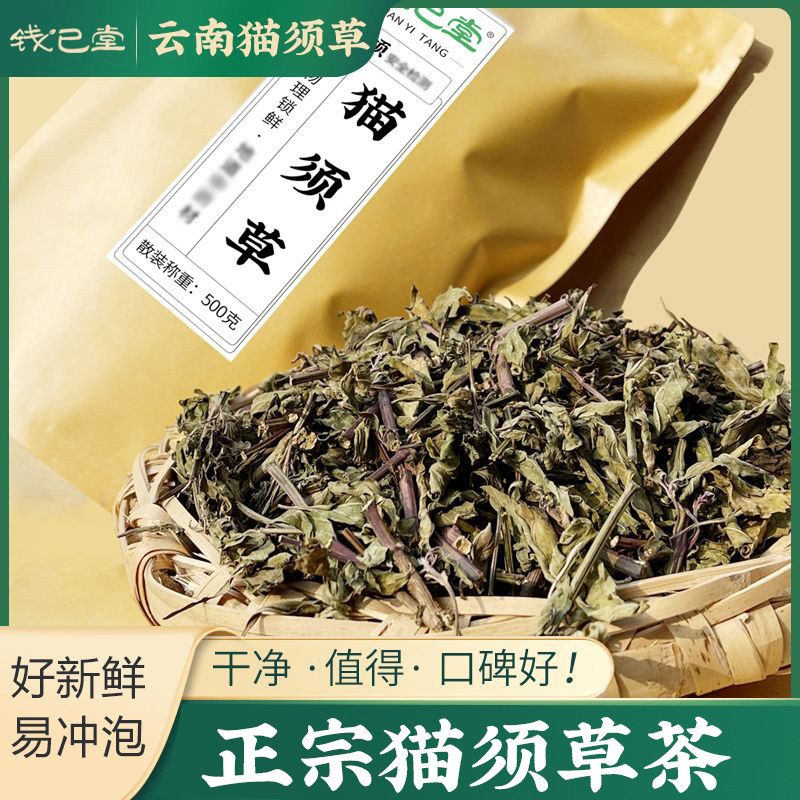 新鲜猫须草肾茶500g正宗西双版纳猫须草茶肾精茶养生肾茶