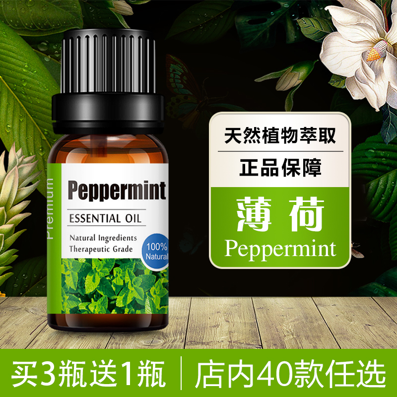 中国薄荷叶提神醒脑薄荷精油