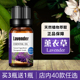 薰衣草单方精油天然植物香薰助眠按摩护肤滋润肌肤祛斗卧室扩香