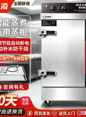 蒸饭柜商用电蒸箱饭店食堂蒸饭机米饭馒头全自动燃气蒸饭车蒸饭箱