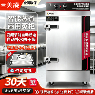 蒸饭柜商用电蒸箱饭店食堂蒸饭机米饭馒头全自动燃气蒸饭车蒸饭箱