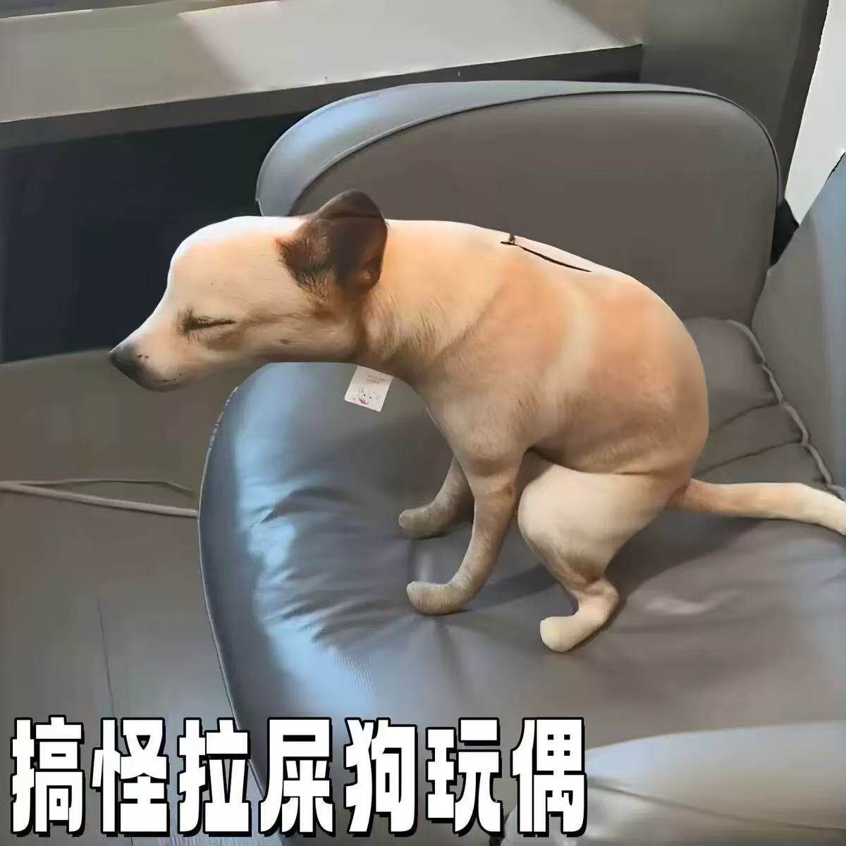 拉屎狗毛绒摆件整蛊抽象公仔玩具