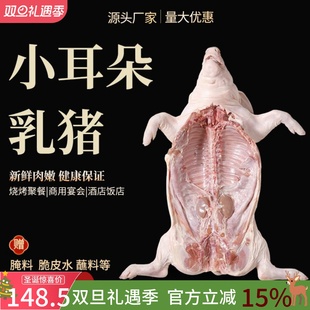 现杀整只新鲜乳猪冻乳猪脆皮烤乳猪3-40斤规格全酒店烧烤生鲜食材